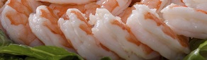 wild shrimp